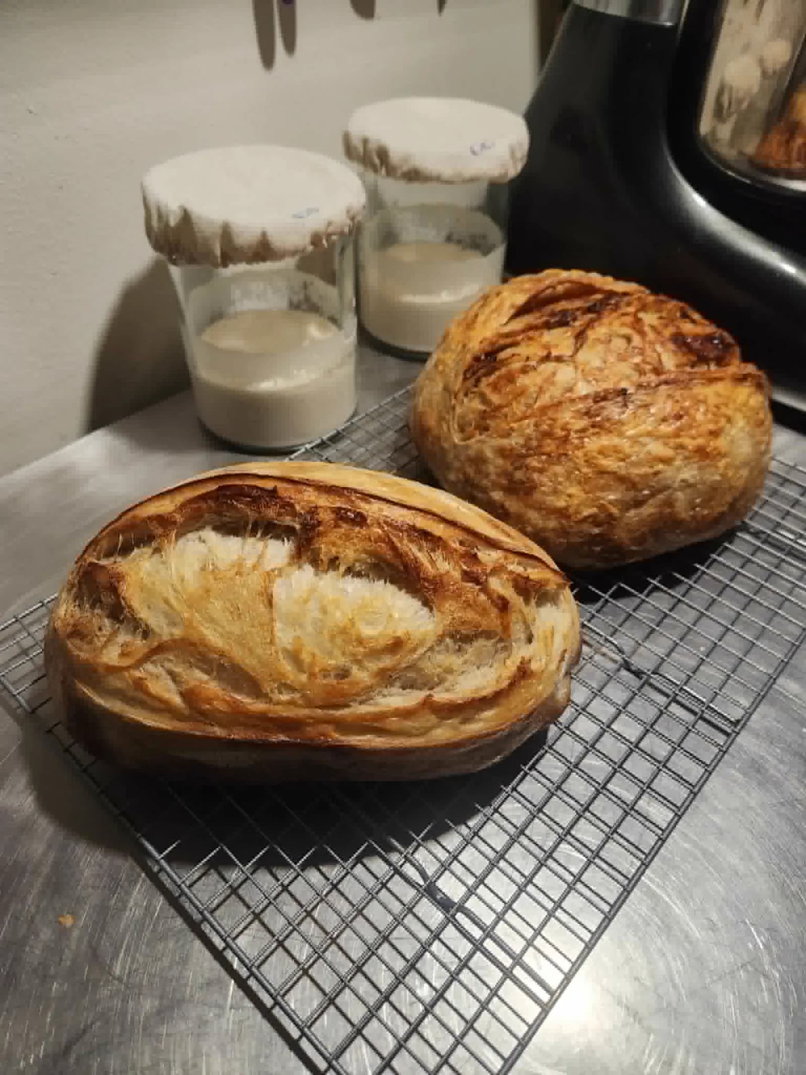 Sourdough Loaf