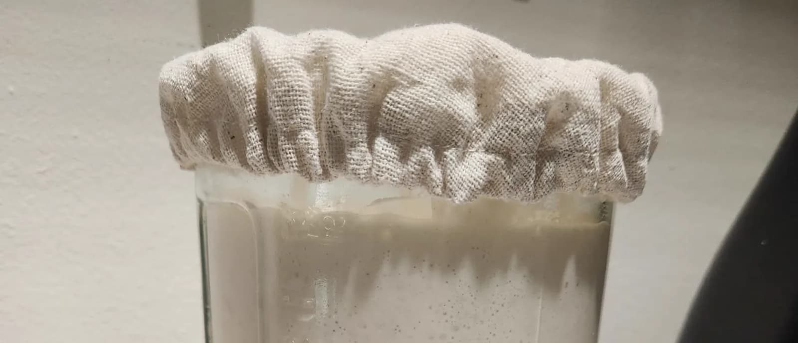 Sourdough Starter